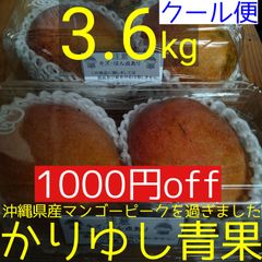 沖縄県産 ミニマンゴーＢ品 約３kg【常温便】② 沖縄県産ミニマンゴー2kg 16〜32個入 送料無料 ご家庭用 ギフト