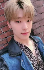 【中古】コレクションカード(男性) SEVENTEEN/DINO(ディノ)/衣装青・豹柄・口閉じ・背景レンガ・裏面白/CD「3RD Album ： An Ode(Real ver.)封入特典フォトカード