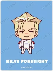 2025年最新】クレイフォーサイトの人気アイテム - メルカリ