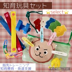 知育玩具ミニセット　モンテッソーリ  家庭学習　保育教材　指導教材　指先トレーニング　知育　療育　早期教育