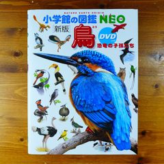 小学館の図鑑NEO〔新版〕 鳥 DVD無し 図鑑 ネオ neo - メルカリ