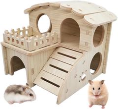 Item thumbnail for item 02b7140a-86ab-4292-bf20-d98570b309ba