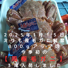 風極ふうきょく　活毛ガニ　３尾で２.7キロ（活計量）前後
