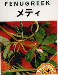 ＜野菜の種＞フェヌグリーク　メティ　２ｍｌ　フェネグリーク　約80粒