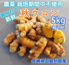 完全無農薬沖縄県やんばる産生秋ウコン20kg⑥