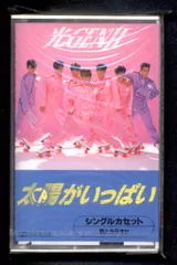 光GENJI/虹色夏物語 DVD&VHSセット 光GENJI/虹色夏物語 DVD&VHSセット