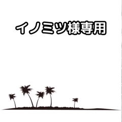 【子株付き💚】【抜き苗発送】アガベ  キシロナカンサ・ドワーフ・ホリダ　Agave xylonacantha　2025.2.12Ax1