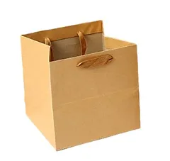 正直屋 紙袋 引き出物袋 特大紙袋 マチ広手提げ袋 正方形手提げ袋 幅広紙袋 ケーキ袋 マチ広紙袋 クラフト紙 シンプル紙袋 無地紙袋 スクエア型 厚手袋 ギフトバッグ 5枚セット (30✕30✕30㎝) [30✕30✕30㎝]