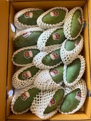 グリーン　マンゴー　1箱   Green Mango