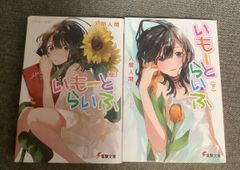 山水集 double face CD - メルカリ