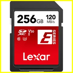 Lexar レクサー SDカード SDメモリカード DS カメラ4GB 20枚
