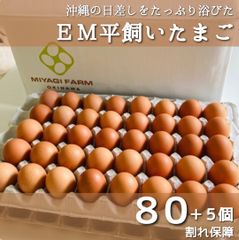 平飼い卵 沖縄の日差しを浴びてのびのびとすごす鶏のＥＭ平飼いたまご80個+5個割れ保障