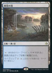 【中古】マジックザギャザリング [R]：異臭の池/Fetid Pools