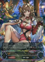 シーサイド メモリーズ 未開封 2box 61qPg83rC6L.jpg_BO30,255,255,