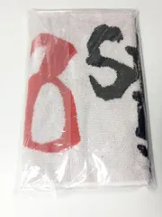 新品未開封　Snow Man ツアータオル お祝いタオル　DOME　TOUR 2024 RAYS