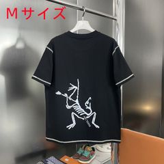 Arc'teryx アークテリクス　Tシャツ　レディース　メンズ　半袖Tシャツ 男女兼用 M