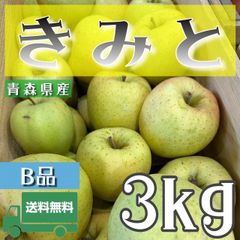 青森県産 ＂ きみと ＂ りんご【ご家庭用B品3kg】【送料無料】【産地直送】リンゴ 林檎