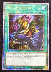 暗黒回廊 25th 北米 暗黒回廊 25th 北米 - メルカリ