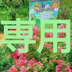 ｋａｎｎａ 様専用です。