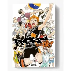 新品未開封 ボードゲーム ハイキュー！！ 援！！ ボドゲ 排球援 ハイキュー!!