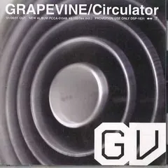 GRAPEVINE Lifetime アナログレコード CD GRAPEVINE「Lifetime」 | 音の寄り道