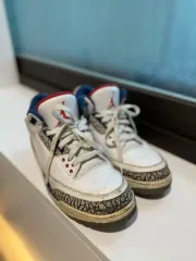 ジョーダン 3 レトロ OG トゥルーブルー 2016