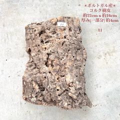 バージンコルク樹皮 ポルトガル産