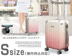 新品未使用✨特典付き！　グラデーション スーツケース S サイズ 機内持ち込み可 小型 超軽量 ファスナー 鏡面 グラデ 計8輪 TSAロック SS 1泊～ キャリーケース キャリーバッグ トランク おしゃれ かわいい 旅行バッグ 30L級 女性 訳あり特価