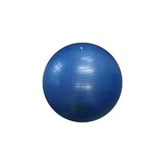 【新品・14営業日以内発送】MN121 Litec ストレッチボール65cm ブルー ライテック インナーマッスル バランスボール フィットネス エクササイズ トレーニング 筋力アップ ダイエット Gボール 健康 美容【沖縄離島販売不可】のサムネイル
