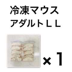 Item thumbnail for item 2a6da409-40b0-4440-b05b-88be7871c162