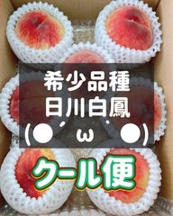 日川白鳳　甘い青秀品　もも　ピーチ