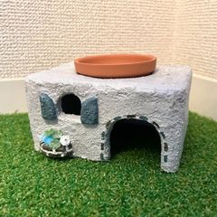 爬虫類　ウェットシェルター