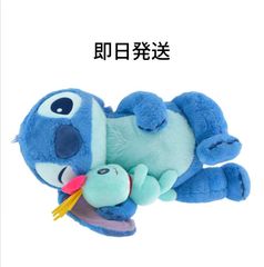 RED SHARK ちびゴーストドッグ 6月27日(月)18:00より抽選開始】レッドシャークの「柔術ちび