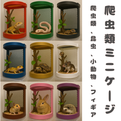 ミニケージ｜爬虫類・小動物・フィギュア展示に！全9色 おしゃれ小型BOX
