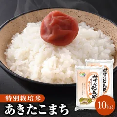 令和7年産 特別栽培米 10kg 秋田県大潟村産 あきたこまち ※沖縄配送不可のサムネイル