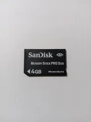 2025年最新】メモリースティック pro duo 4gbの人気アイテム