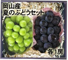 【冷蔵便・予約品】岡山産　NEWピオーネ＆シャインセット　約1.2ｋｇ1箱　発送時期は8月上旬～