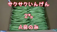 サクサクいんげん2㌔A品のみ　冷蔵