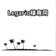 Legario様専用　サバルパルメット苗30本・ココスヤシ苗50本・カナリー苗50本