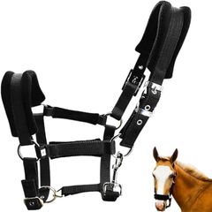 Item thumbnail for item 80998ad2-af6e-4847-9a29-726bb7250127