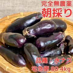 朝採り ✨ 自然栽培 水茄子 水なす 常温発送 本日収穫分は15時まで