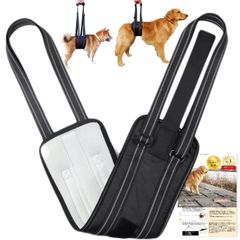 Item thumbnail for item f29f366c-01e8-4656-b246-62206bee9b23