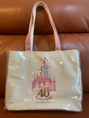 東京ディズニー40周年ダッフィーフロムオールオブアストートバッグとPVCカバー6️⃣