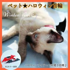 Item thumbnail for item 9c696ff1-3dea-4493-8e18-805990a0dc9b