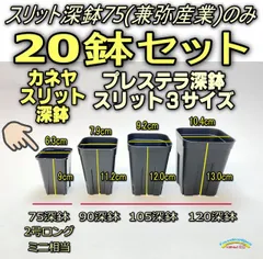 2025年最新】メルカリshopsにて販売中の人気アイテム - メルカリ