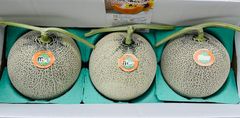 美味！最高級ふらのメロン　R113 秀品　特大玉3玉入り
