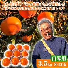 ☆11月上中旬より収穫次第予約順に発送☆鳥取県産 太郎丸柿(たろうまる)【自家用】3.5kg程度(8-12玉入り)農家指定果物カキかき