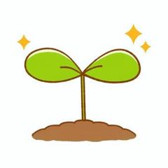 ～森の小道～様向け　ニゲラ　ミスジーキルミックスｘ2
