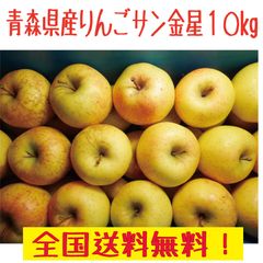 青森県産りんご　サン金星　訳あり　家庭用　28～40玉程度