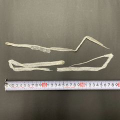 白蛇抜け殻 幼蛇 2匹分セット 開運 縁起物 子宝 ヘビの抜け殻 S